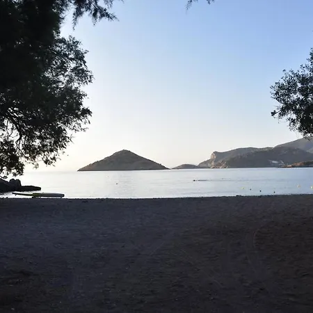 Modern Studio Next To The Sea! Porto Rafti Exterior photo