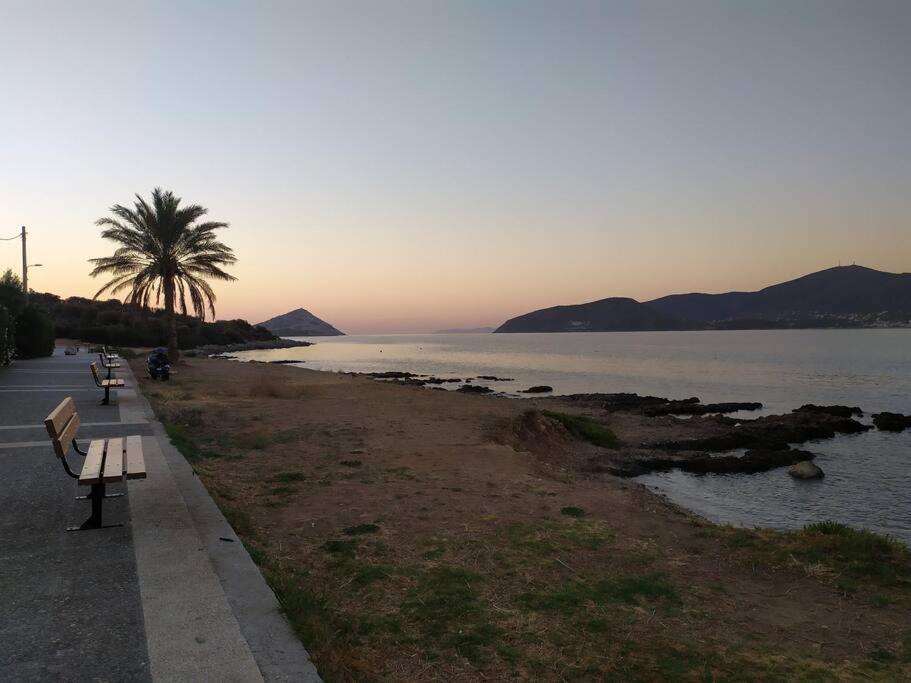 Modern Next To The Sea! Apartment Porto Rafti
